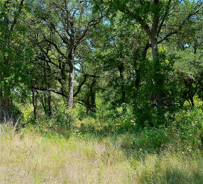 216 Serenity Dr — photo 2