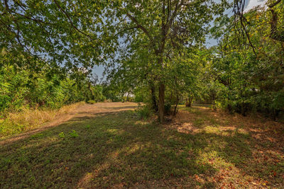 2202 Emerald Isle Dr — photo 4