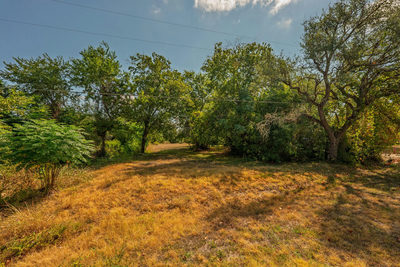 2202 Emerald Isle Dr — photo 3