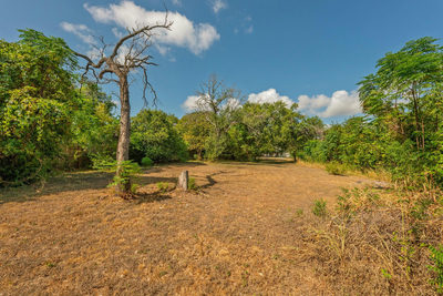 2202 Emerald Isle Dr — photo 5