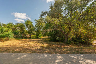 2202 Emerald Isle Dr — photo 2