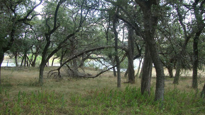 6703 Bar K Ranch Rd — photo 3