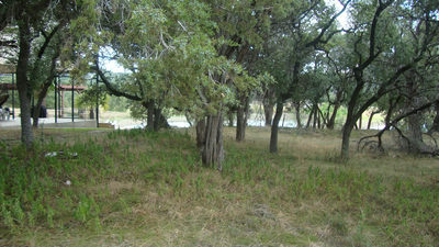 6703 Bar K Ranch Rd — photo 2