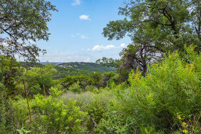 11207 Mountain Top Cir — photo 2
