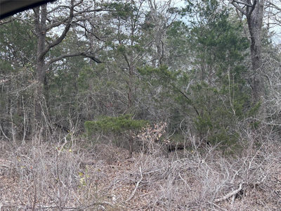 TBD Pearson Rd — photo 3