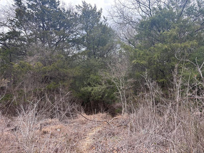 TBD Pearson Rd — photo 2
