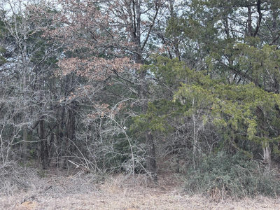 TBD Pearson Rd — photo 5