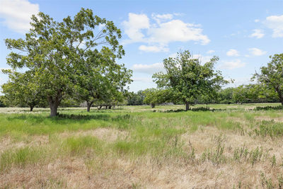 Tract 5 FM 3158 — photo 3