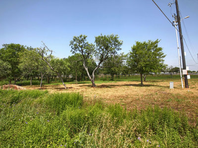 100 El Dorado Dr — photo 3