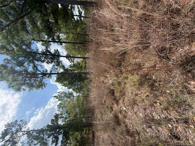 Lot 1189 Awehi Ln — photo 4