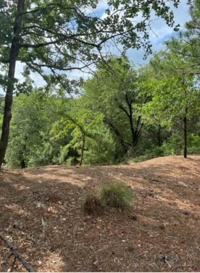 Lot 1114 KAOHIKAIPU Dr — photo 4