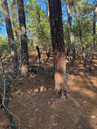 Lot 1395 Kaupa Ct — photo 2