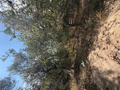 Lot 732 Waimanalo Ln — photo 4