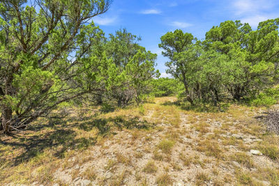 TBD 10.68 Ac Lipan Run — photo 4