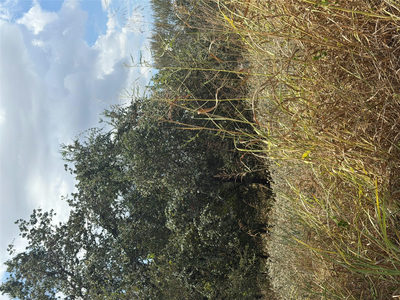 Lot 678 Kawainui Ln — photo 5