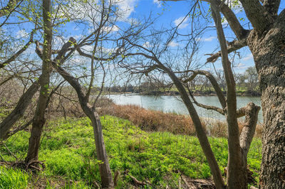 7705 Shelton Rd — photo 3