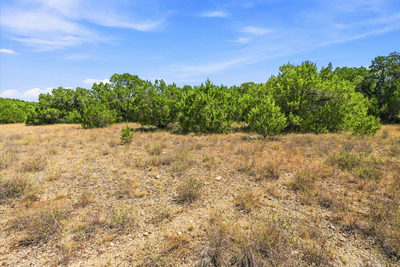 TBD Tract 1 & 2 (22.5 Ac) Lipan Run — photo 3