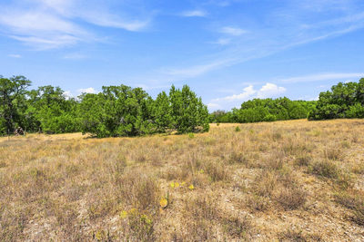 TBD Tract 1 & 2 (22.5 Ac) Lipan Run — photo 5