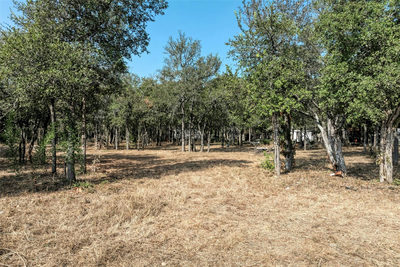 222 Rio Vista Ranch Rd — photo 5
