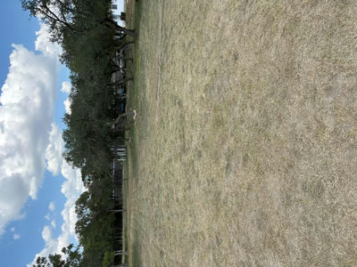 1325 Old Austin Rock Rd — photo 5