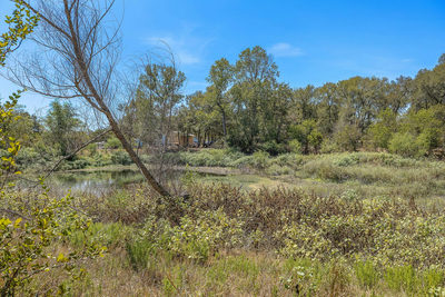 349 Forest Lake Dr — photo 4