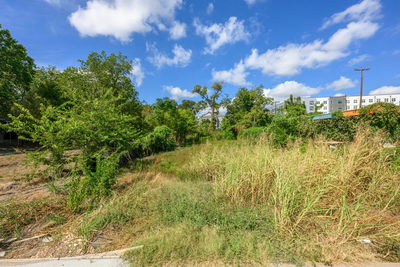 1812 Clifford Ave — photo 4