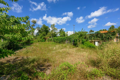1812 Clifford Ave — photo 2