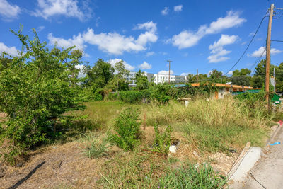 1812 Clifford Ave — photo 3