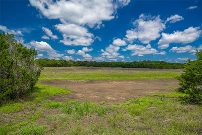 Lot 8 FM 32 — photo 2