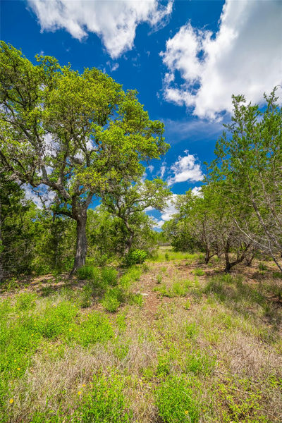 Lot 8 FM 32 — photo 4