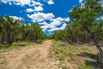 Lot 13 FM 32 — photo 5