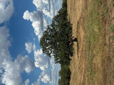 114 Sunny Day Dr — photo 4