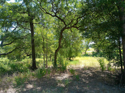 212 Serenity Dr — photo 4