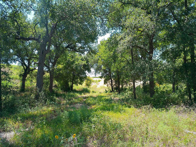 212 Serenity Dr — photo 3