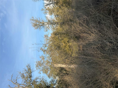 156 Helemano Dr — photo 4