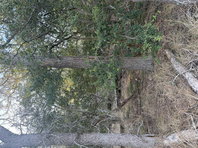 159 Helemano Dr — photo 2