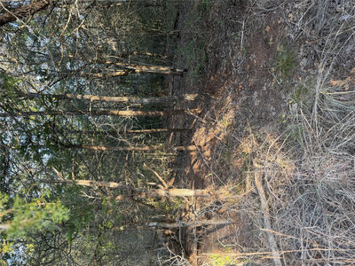 148 Helemano Dr — photo 3