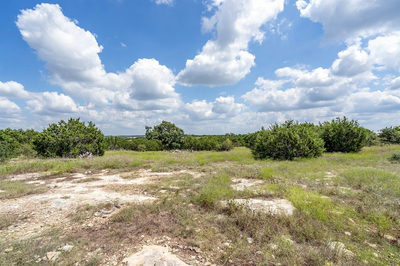 584 Saddle Ridge Dr — photo 4