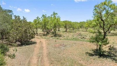 6411 County Rd 120 — photo 5