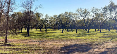 6417 County Road 120 — photo 2