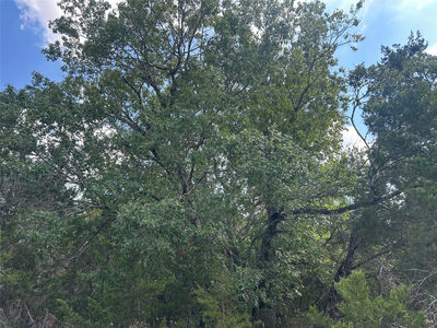 74 Deer Ridge Rd — photo 4