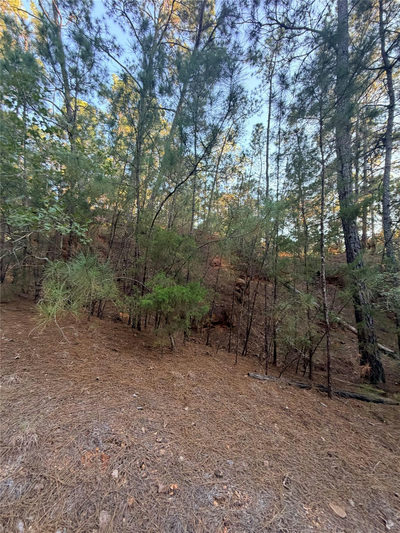 TBD Okoe Ct — photo 2