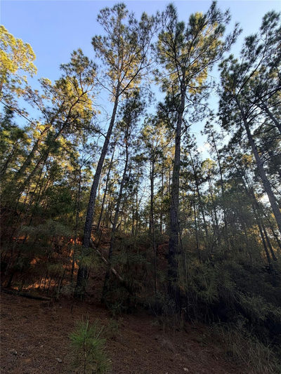 TBD Okoe Ct — photo 4