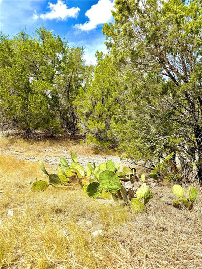 2519 George Pass — photo 3