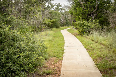 113 Pinyon Pine Dr — photo 5