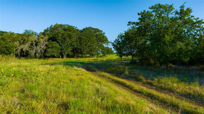 TBD County Road 243 — photo 4