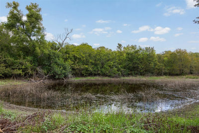 Lot 3 CR 491 — photo 5