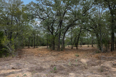 Lot 3 CR 491 — photo 2