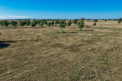 TBD Walter Hoffman Rd. — photo 2