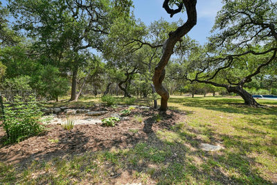 501 Carney Ln Ln — photo 4
